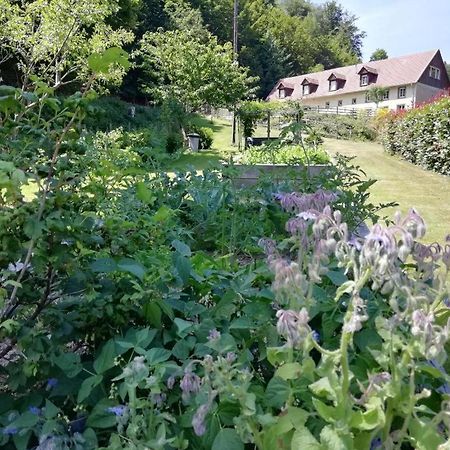 La Climontaine Bed & Breakfast Urbeis Eksteriør bilde